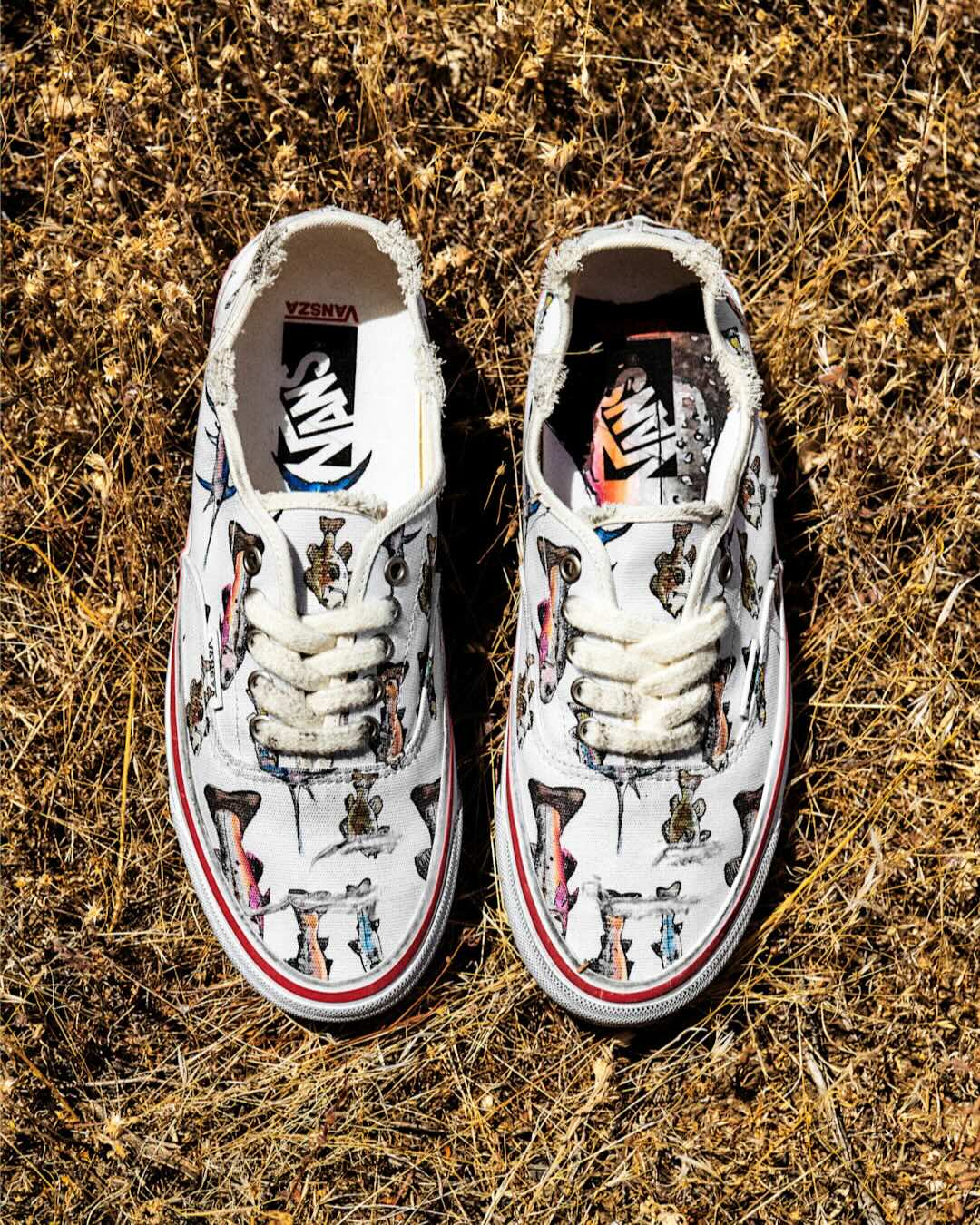 VANSZA